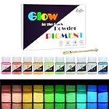 Glow In The Dark Pigment Powder - 10 Color x 25g