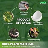Ask Packaging 240 ml Bagasse Bowls - 100 Pack, Biodegradable Microwavable view 9
