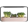 ingarden Microgreens Growing Kit - Organic Superfood Sprouting Seed Pads (3) | Auto 4-Stage LED Grow Lights & Hydroponic Watering System | Chic Steel Frame & Ceramic Bowl, Plastic-Free [Rose]