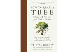 How to Read a Tree: Clues and Patterns from Bark to Leaves