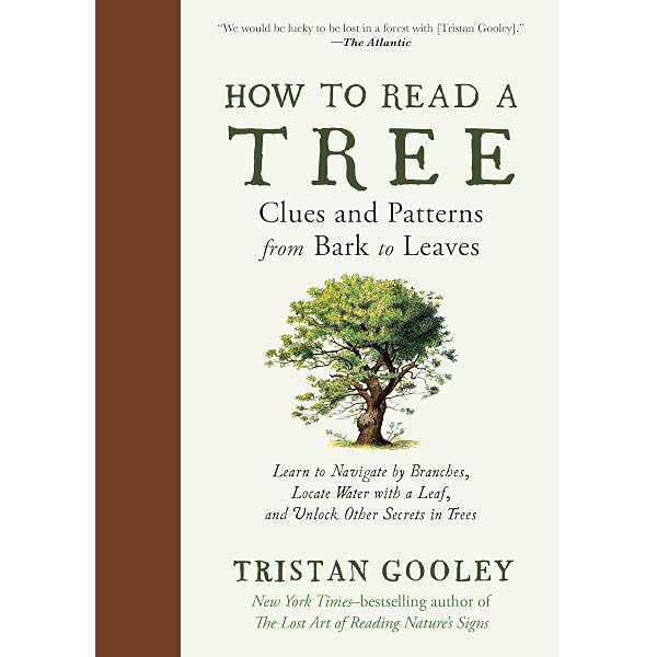 Amazon.com: Tree: My Encounters with Trees: 9780063443464: Koda