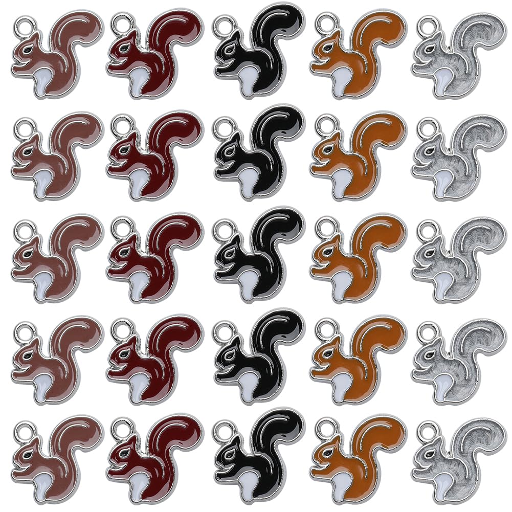 SUNNYCLUE 1 Box 50Pcs Thanksgiving Charms Squirrel Charms Bulk Squirrel Charm Christmas Pine Cone Animal Charm Autumn Fall Charms Harvest Charms for jewellery Making Charms Craft Thanksgiving DIY Gift