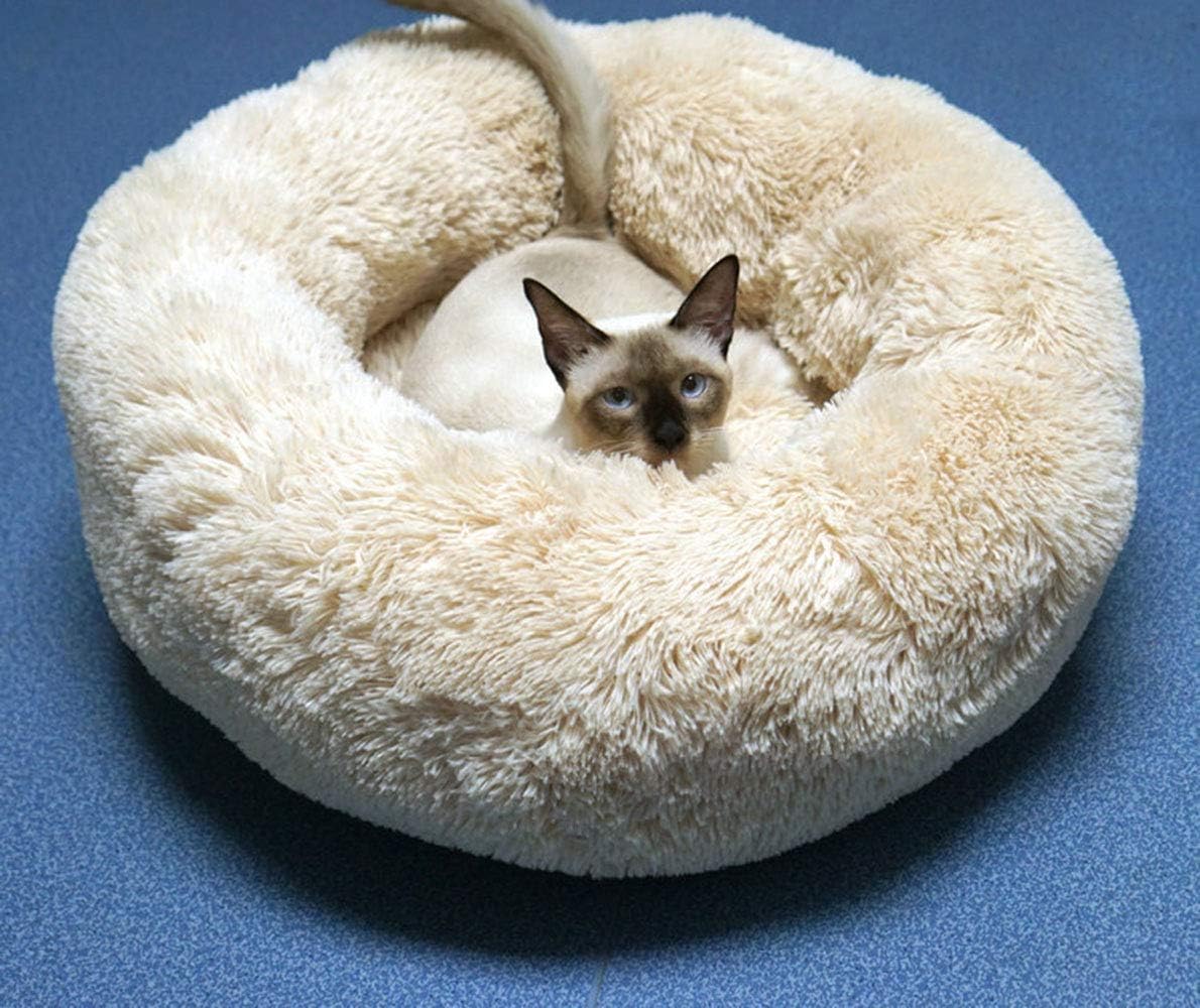 BODISEINT Modern Soft Plush Round Pet Bed for Cats or Small Dogs, Mini Medium Sized Dog Cat Bed Self Warming Autumn Winter Indoor Snooze Sleeping Cozy Kitty Teddy Kennel (M(23.6”Dx7.9 H), Champagne) : Pet Supplies