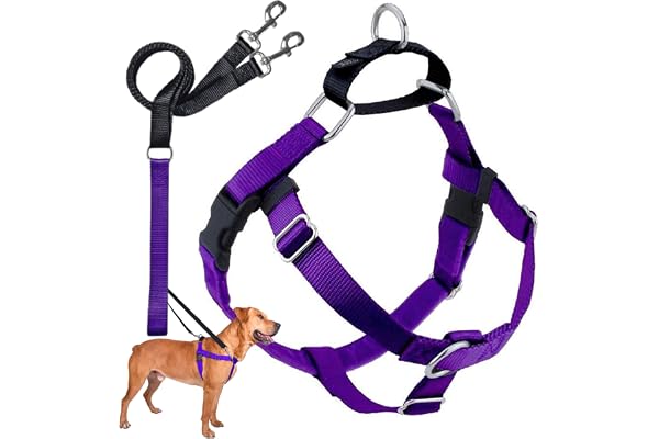 2 Hounds Design Freedom No Pull Dog Harness and Leash, 1" MD, Purple | Promotes Easy Walking & Comfortable Control, Secure Fi