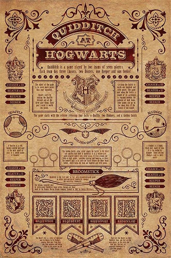 Harry Potter Poster Quidditch at Hogwarts (61cm x 91,5cm) + ÜPoster