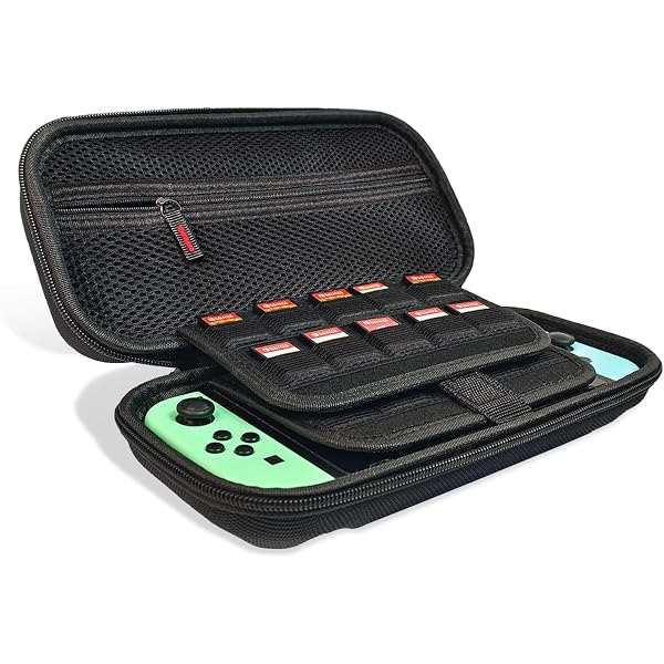 Amazon.com: Hesupy Travel Storage Case for AYN Odin 2 Mini
