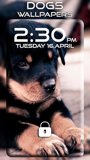 Amazon Com Dog Wallpaper Appstore For Android Images, Photos, Reviews