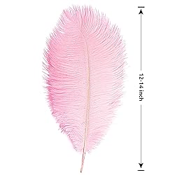 THARAHT 12PCS Ostrich Feathers Natural Bulk