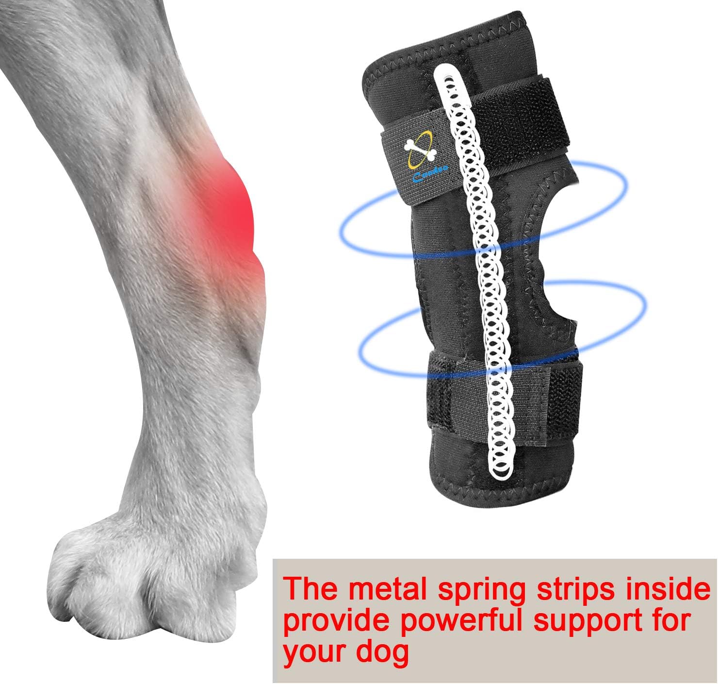 dog ankle support