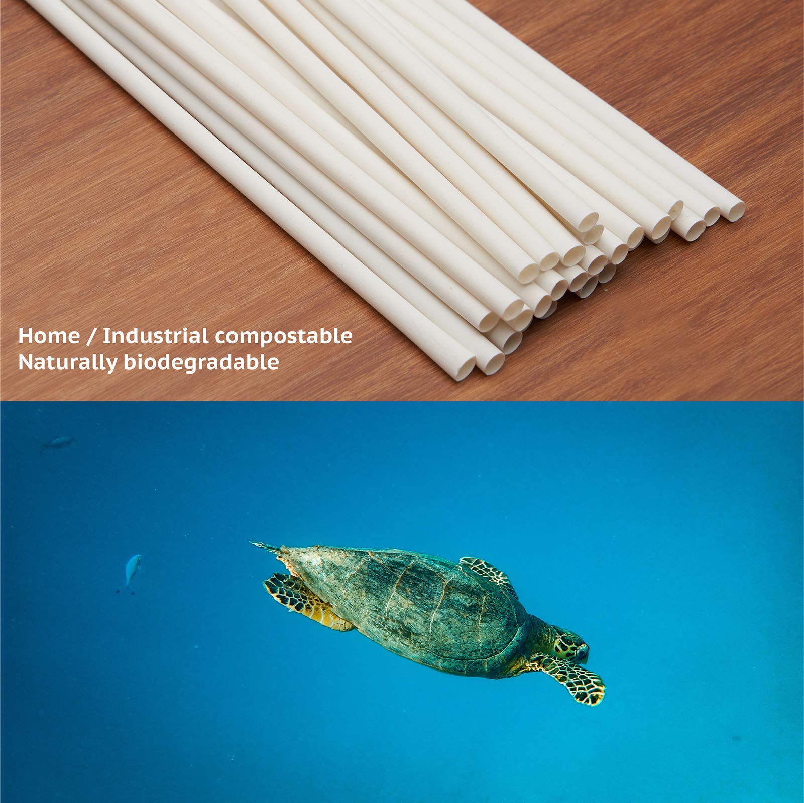 Biodegradable Straws made of Natural Plant | 200 PCS 7.8'' Compostable Eco-Friendly Drinking Straws Disposable | Durable for Hot & Cold Drinks - Image 4