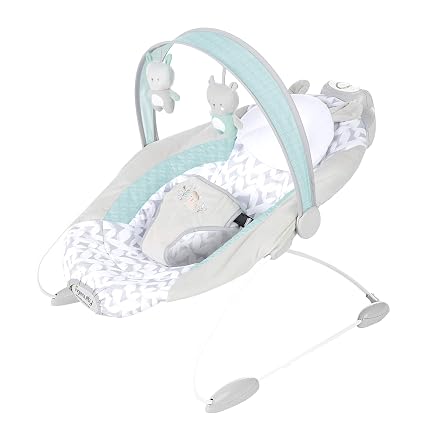 batteries for baby bouncer