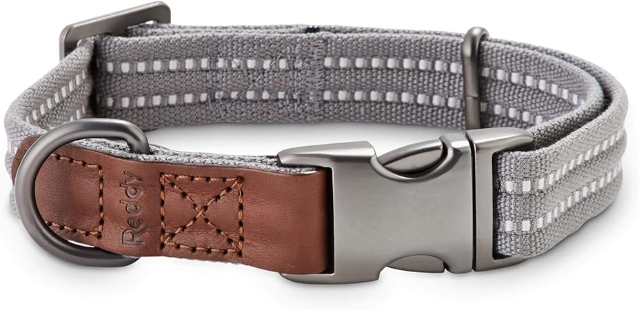Gray dog collar Clearance