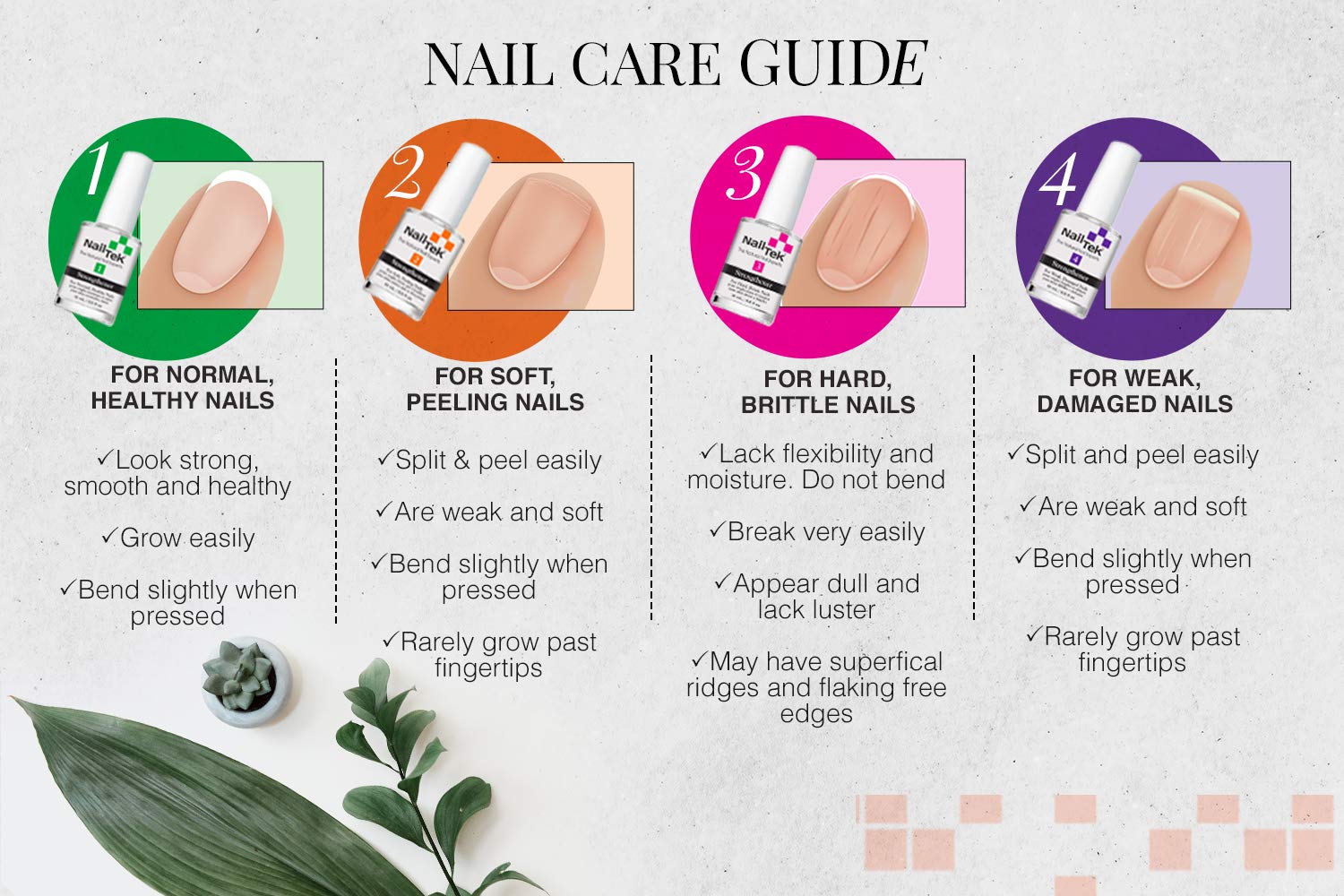 Nail Tek Intensive Therapy 2, Nail Strengthener for Soft and Peeling Nails, 0.5 oz x 1 pack : Nail Strengthening Products : Beauty
