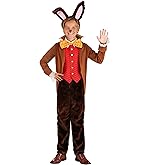 Toddler Boys Tea Time March Hare Costume | Kids Rabbit Outfit | Bunny Complete Attire for Themed Parties and Events