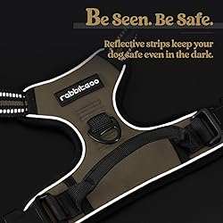 rabbitgoo Dog Harness No Pull with 2 Leash