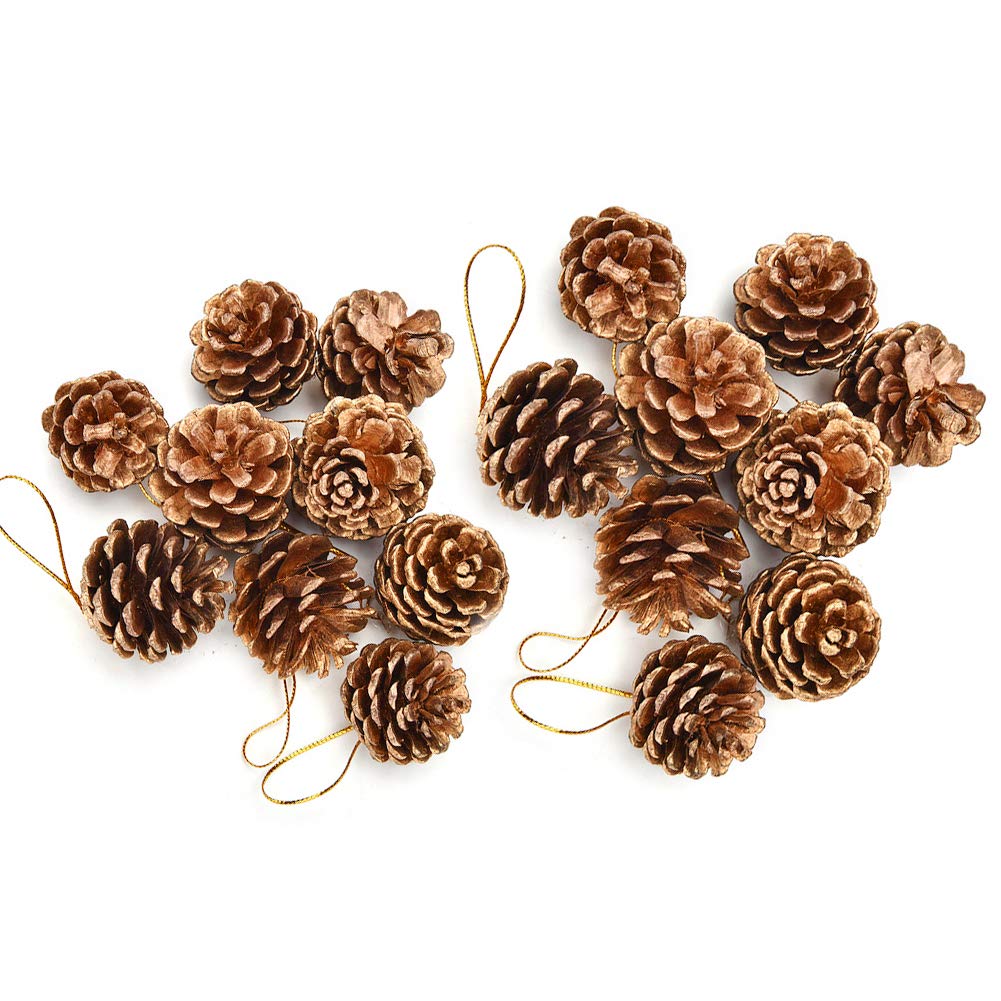18 Natural Pine Cones, Golden Pinecone Christmas Tree Hanging Ornament for Wreaths, Garlands, Dried Floral Arrangements, Gift Tags