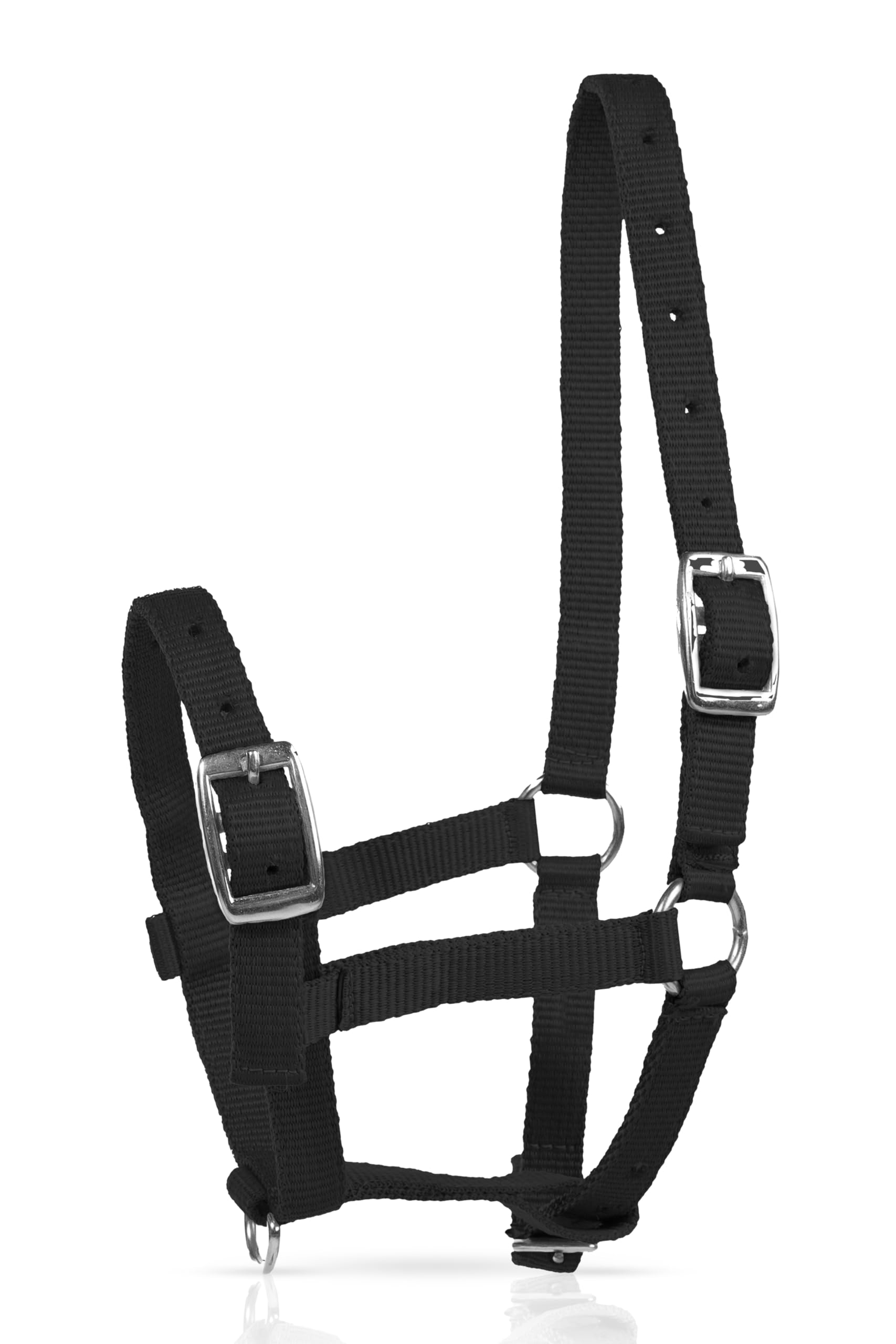 Horze Foal Halter, Black, foal