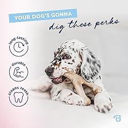 Benebone Puppy 2-Pack Dental Chew/Wishbone Dog Chew