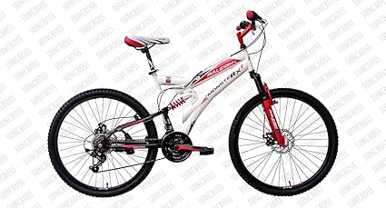 raleigh cycle online