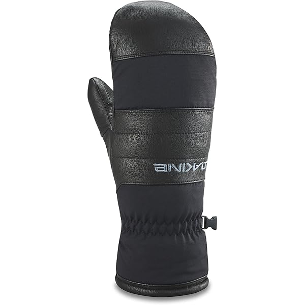 Amazon.com : Dakine Titan Gore-Tex Mitt - Black, Small : Clothing
