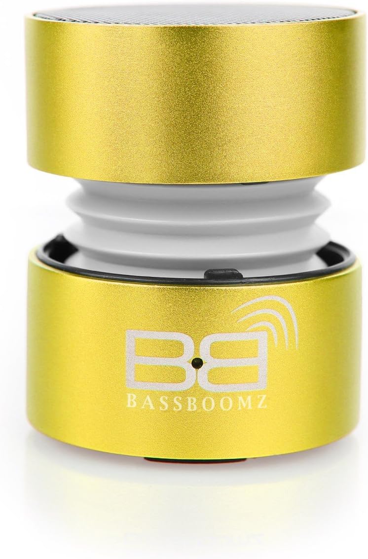 BassBoomz Portable Bluetooth Wireless Speaker