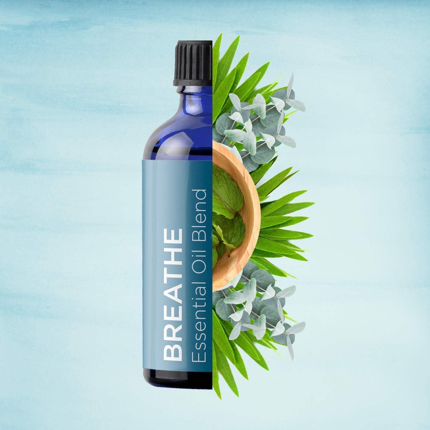 Pure Aromatherapy Essential Oil Blends - Eucalyptus Peppermint and Spearmint Breathe Essential Oils for Diffuser - Aromatherapy Oils for Snoring Solution and Natural Anxiety Relief with Tea Tree Oil: Health & Personal Care