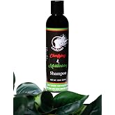 LOCLICIOUS Clarifying &amp; Moisturizing Shampoo for Locs, Dreadlocks, Braids, and Dreads - Vegan, Organic Formula - Lightweight &amp; Residue-Free - Promotes Healthy Hair (8oz)