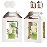 XININSUN Tall Cake Boxes with 6 windows and Cake