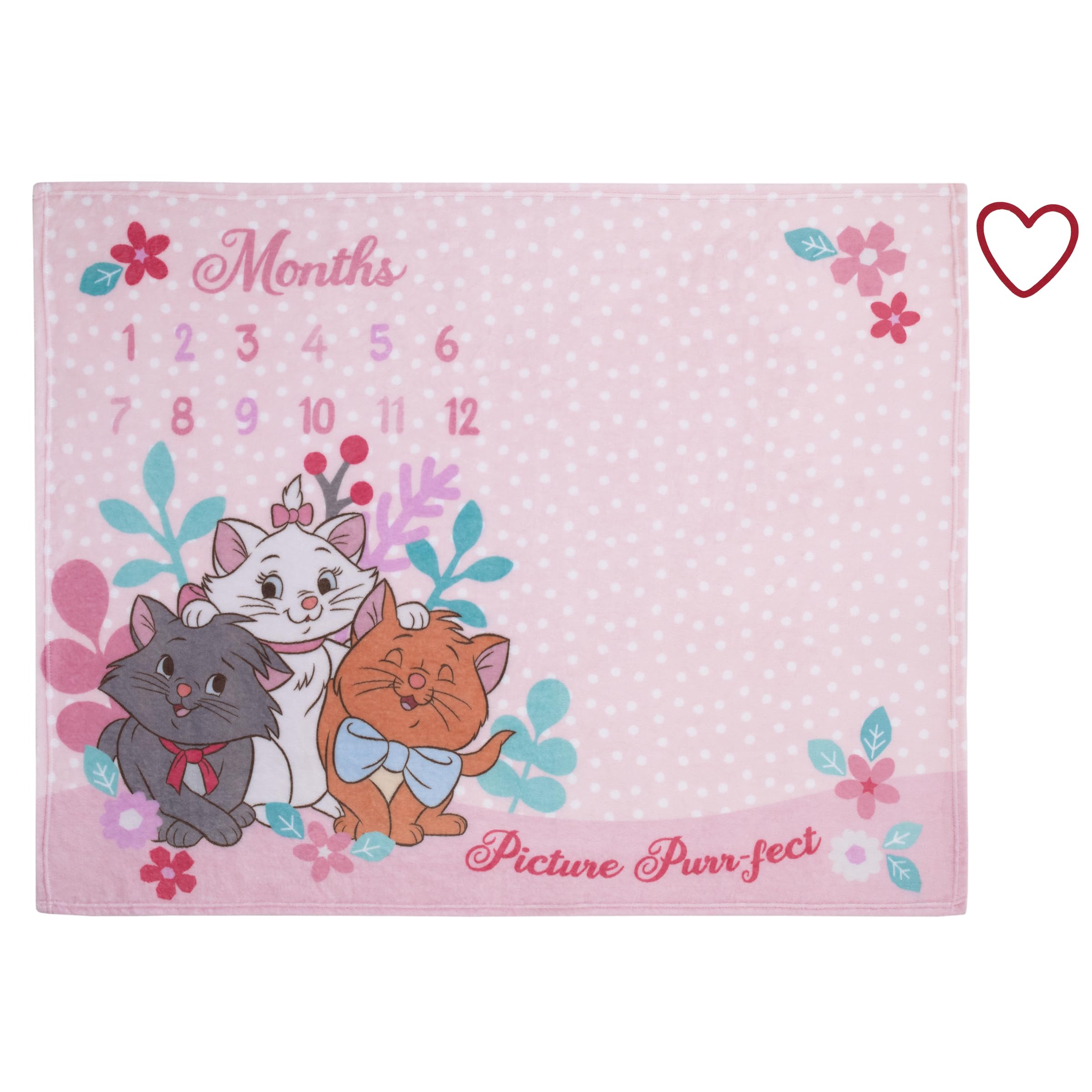 Photo 1 of Disney Aristocats Pink Picture Purr-FECT Super Soft Photo Op Milestone Baby Blanket