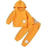 YOUNGER TREE Baby Girl Clothes Toddler Fall Winter Outfits Sweatshirt pants Sweatsuits for Infant Girl Baby Girl Clothing