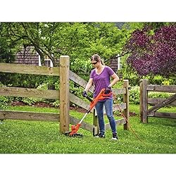BLACK+DECKER String Trimmer with Auto