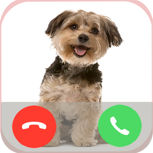 Dog Call