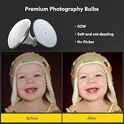 RALENO Softbox Lighting Kit, 20X28-Inch Softbox