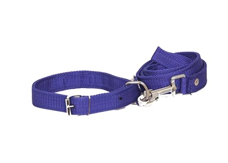 Pet Club51 Standard Dog Collar And Leash- Large-Blue