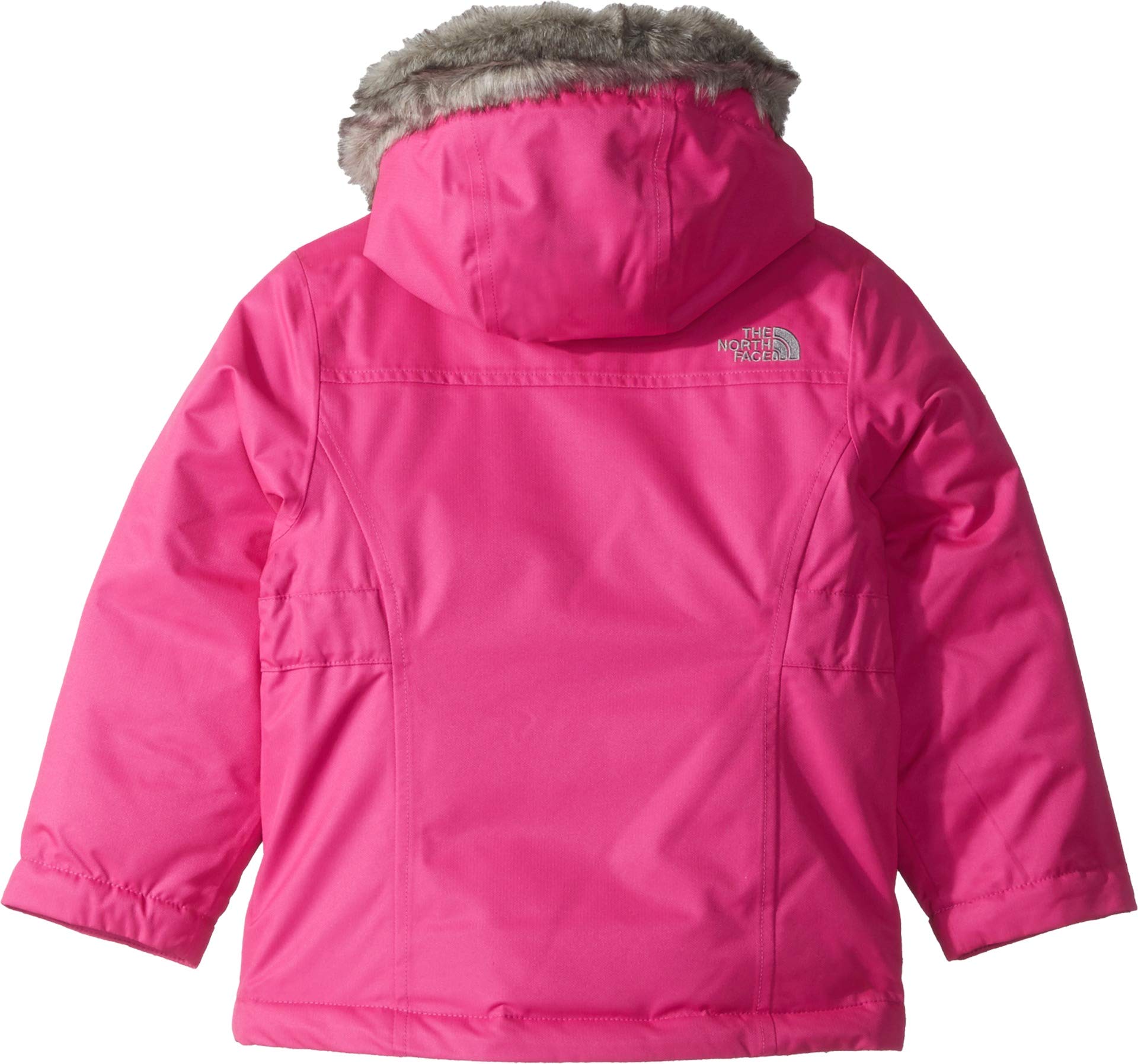 The North Face Toddler Girls Greenland Down Parka Desertcart