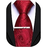 Barry.Wang Paisley Tie for Men Silk Woven Necktie and Tie Clip Set Wedding Party Business Formal