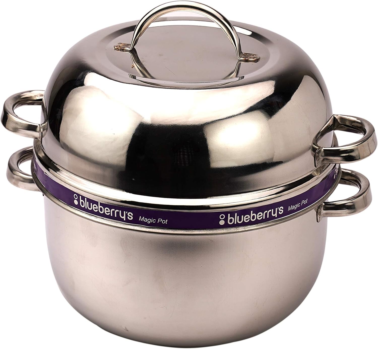 Buy Blueberry's Double Layer Stainless Steel Thermal Rice Cooker