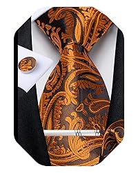 DiBanGu Silk Paisley Ties for Men Woven Necktie and