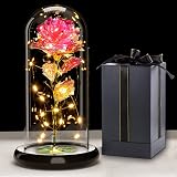 Touloube Galaxy Rose for Her LED Light Up Glass Dome Gift