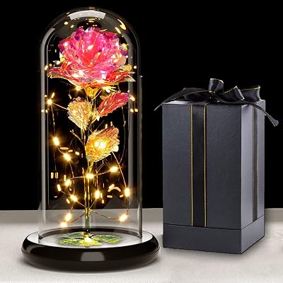Touloube Galaxy Rose for Her LED Light Up Glass Dome Gift