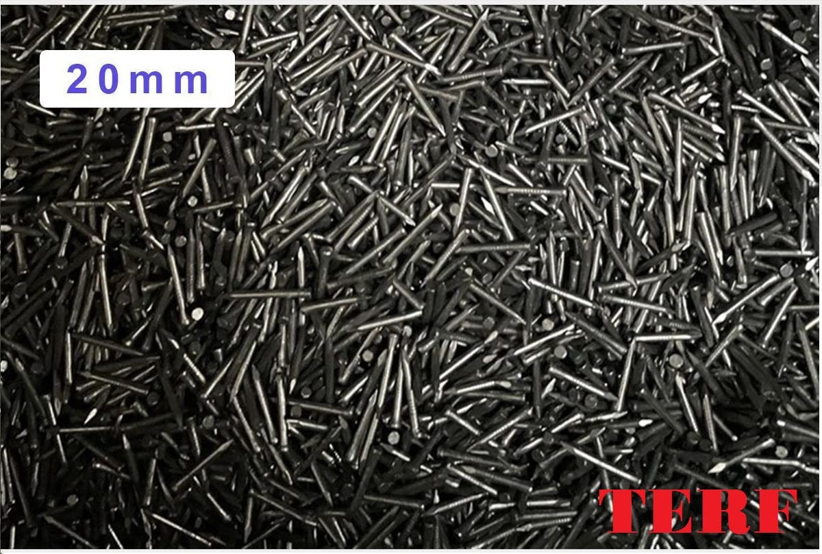 View 4