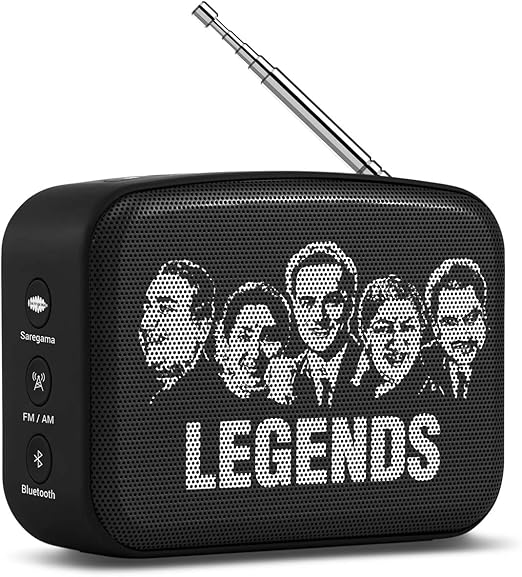 carvaan mini 2.0 price