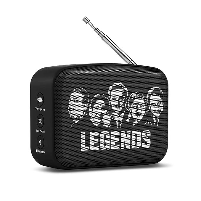 saregama carvaan mini features