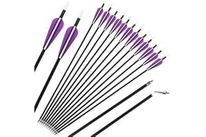 IRQ 32 Inch Carbon Hunting Arrows Archery Target Practice Arrows for Recurve and Compound Bow Spine 350 with Replaceable Tips