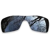 Amazon.com: Oakley Batwolf Icon 