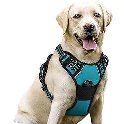 rabbitgoo Dog Harness No Pull with 2 Leash