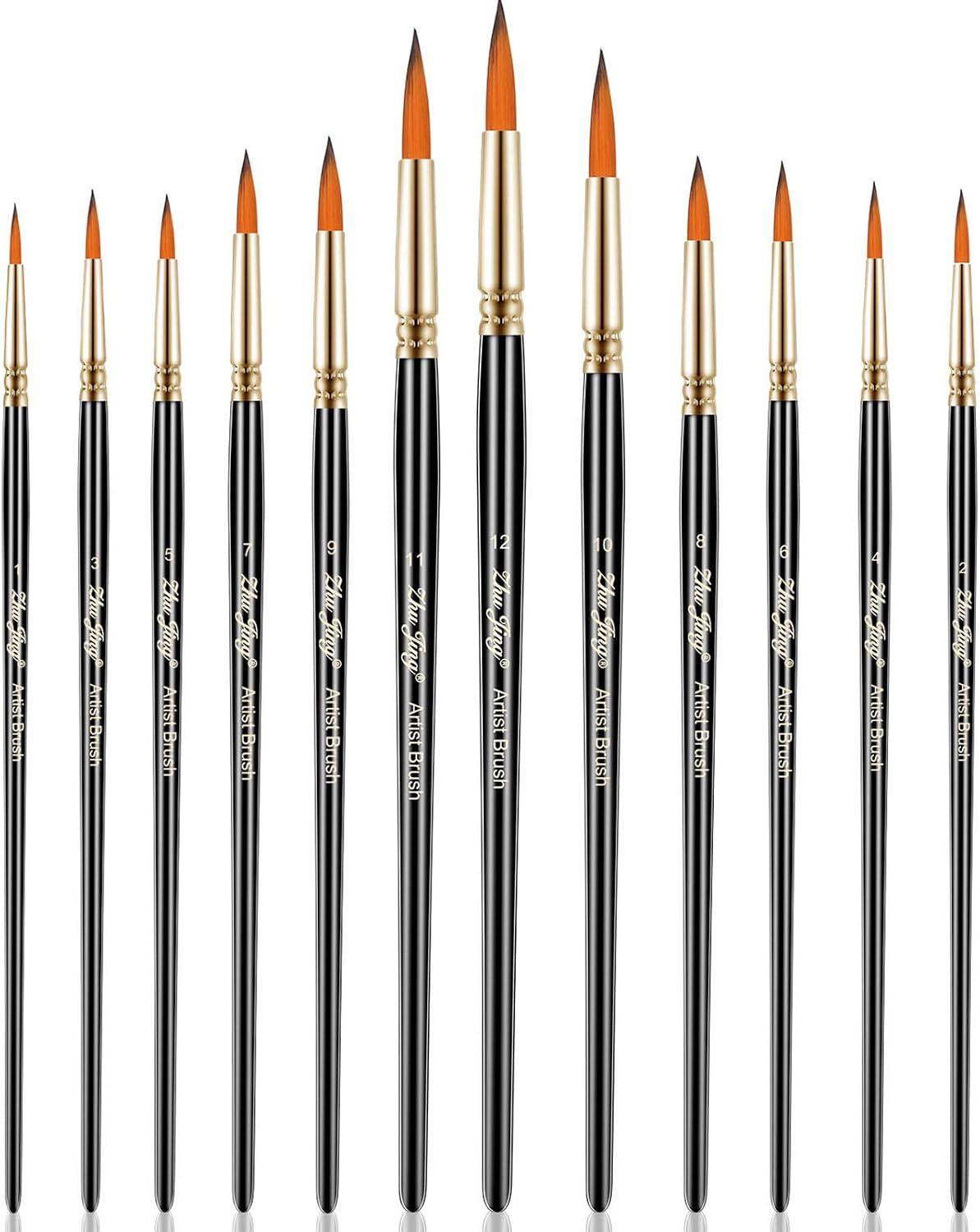 12 Pieces Fine Detail Painting Brushes Artist Paint Brushes with Black Handles for Acrylic Watercolor Oil Painting