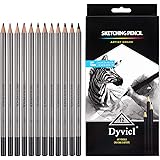Dyvicl Professional Drawing Sketching Pencil Set - 12 Pieces Drawing Pencils 10B, 8B, 6B, 5B, 4B, 3B, 2B, B, HB, 2H, 4H, 6H G