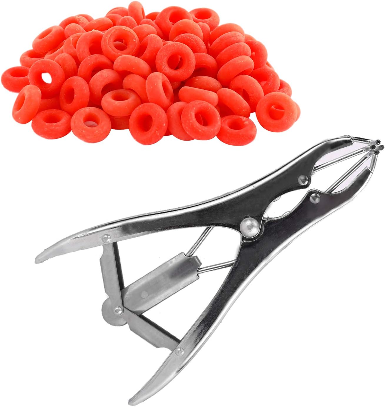 castrating cats with bands