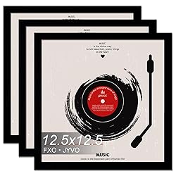 Fxojyvo Vinyl Record Frame for the Wall Display